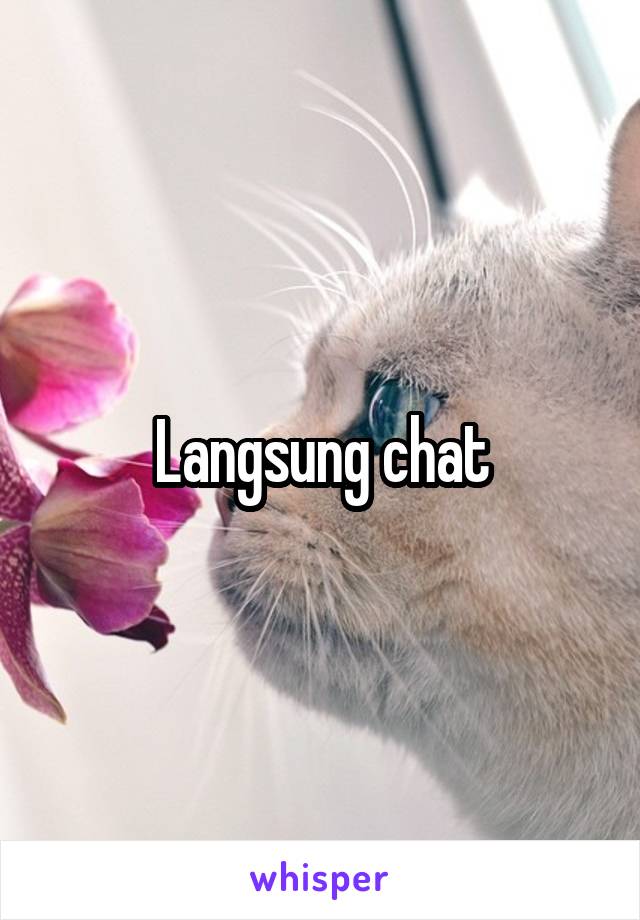 Langsung chat