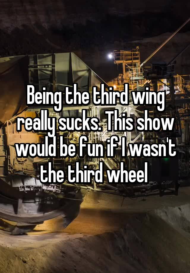 Being the third wing really sucks. This show would be fun if I wasn't the third wheel 