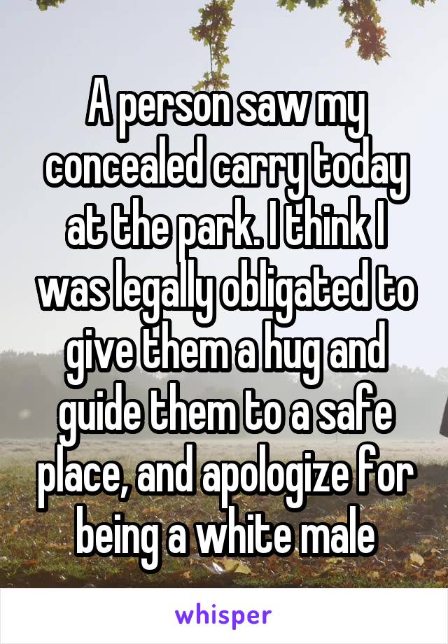 A person saw my concealed carry today at the park. I think I was legally obligated to give them a hug and guide them to a safe place, and apologize for being a white male