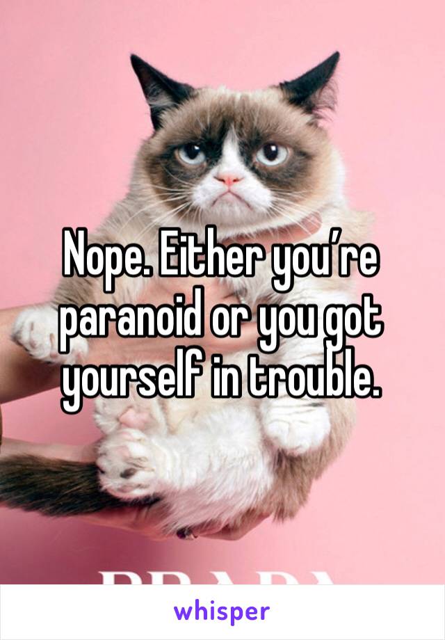 Nope. Either you’re paranoid or you got yourself in trouble. 