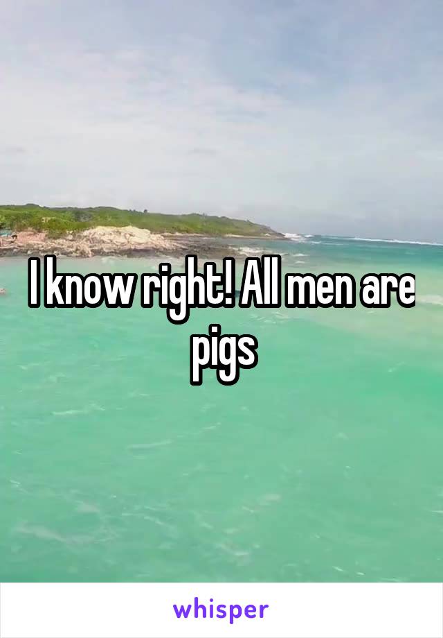 I know right! All men are pigs