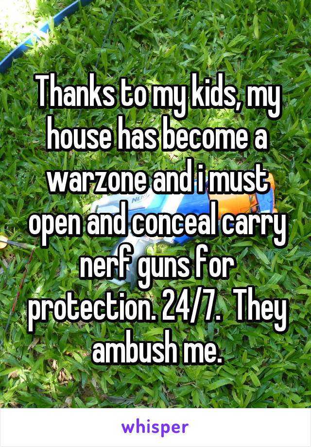 Thanks to my kids, my house has become a warzone and i must open and conceal carry nerf guns for protection. 24/7.  They ambush me.