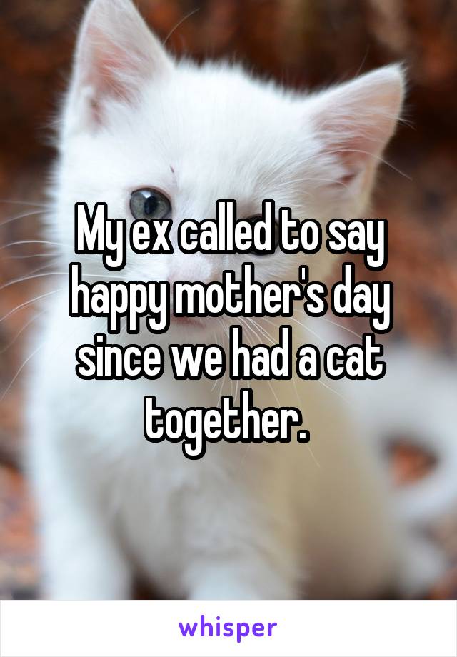 My ex called to say happy mother's day since we had a cat together. 