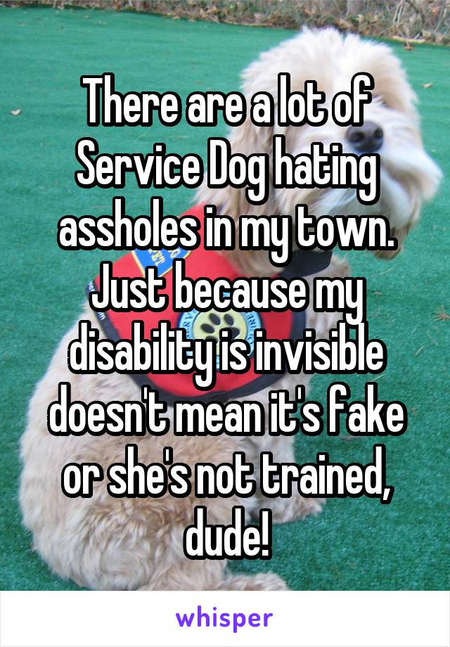 There are a lot of Service Dog hating assholes in my town. Just because my disability is invisible doesn't mean it's fake or she's not trained, dude!