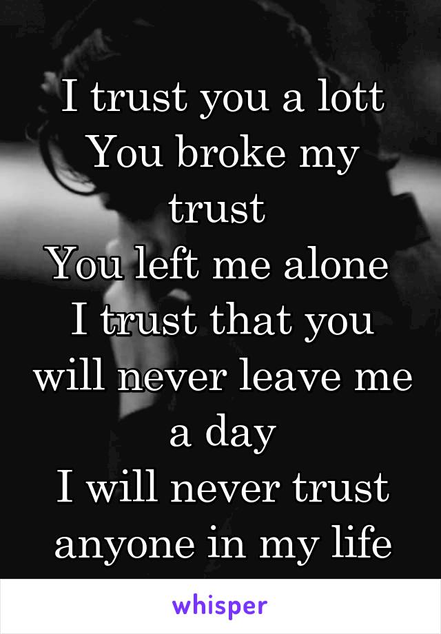 I trust you a lott
You broke my trust 
You left me alone 
I trust that you will never leave me a day
I will never trust anyone in my life
