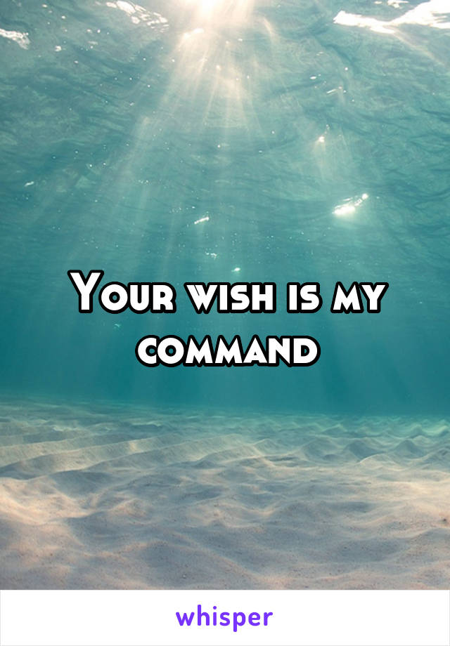 Your wish is my command