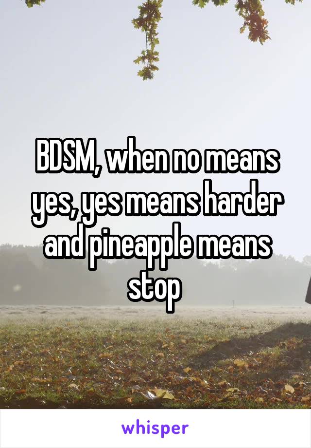 BDSM, when no means yes, yes means harder and pineapple means stop 