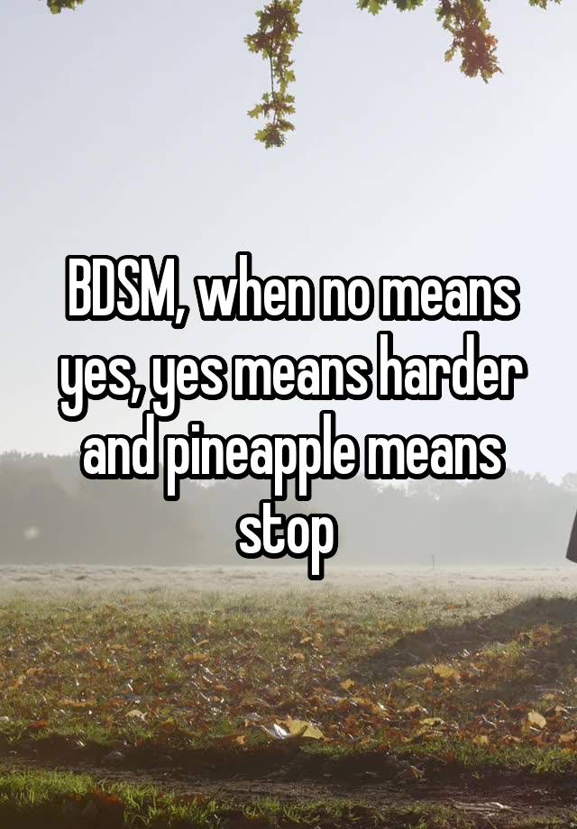 BDSM, when no means yes, yes means harder and pineapple means stop 