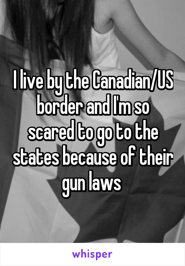 I live by the Canadian/US border and I'm so scared to go to the states because of their gun laws 