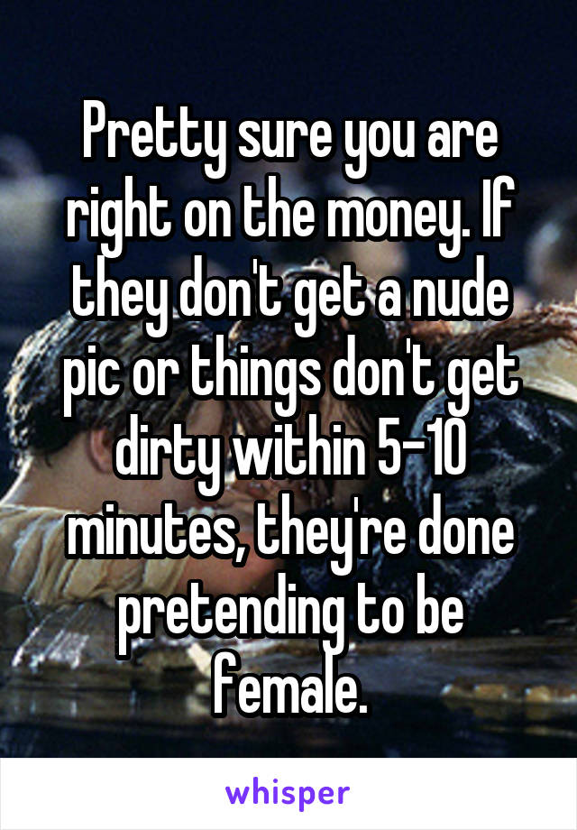 Pretty sure you are right on the money. If they don't get a nude pic or things don't get dirty within 5-10 minutes, they're done pretending to be female.