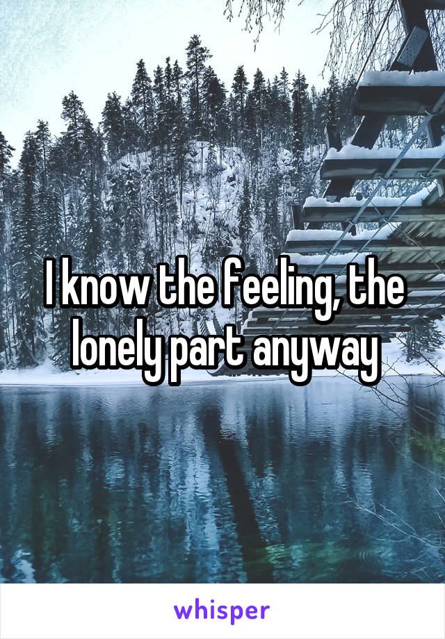 I know the feeling, the lonely part anyway