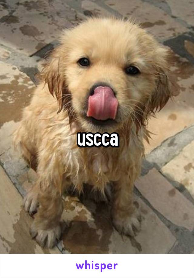 uscca