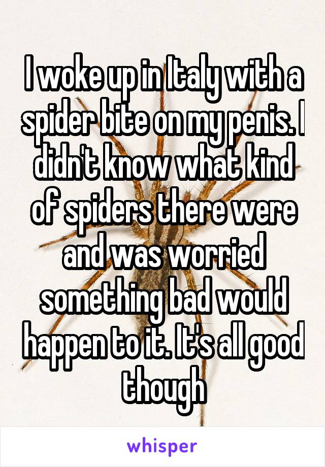 I woke up in Italy with a spider bite on my penis. I didn't know what kind of spiders there were and was worried something bad would happen to it. It's all good though
