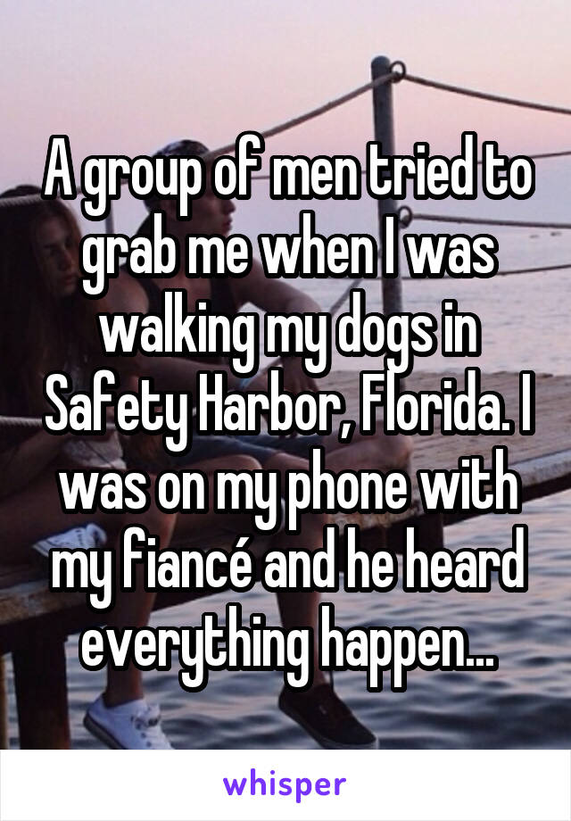 A group of men tried to grab me when I was walking my dogs in Safety Harbor, Florida. I was on my phone with my fiancé and he heard everything happen...