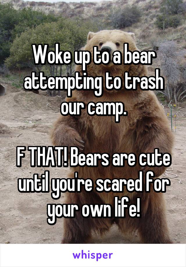 Woke up to a bear attempting to trash our camp.

F THAT! Bears are cute until you're scared for your own life!