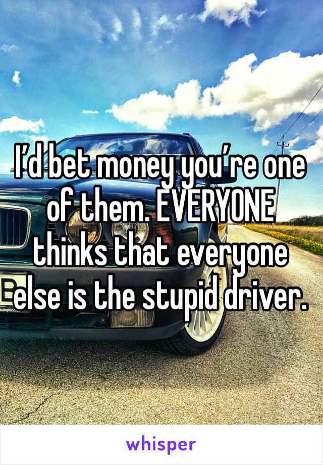 I’d bet money you’re one of them. EVERYONE thinks that everyone else is the stupid driver.