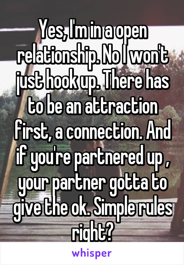 Yes, I'm in a open relationship. No I won't just hook up. There has to be an attraction first, a connection. And if you're partnered up , your partner gotta to give the ok. Simple rules right?