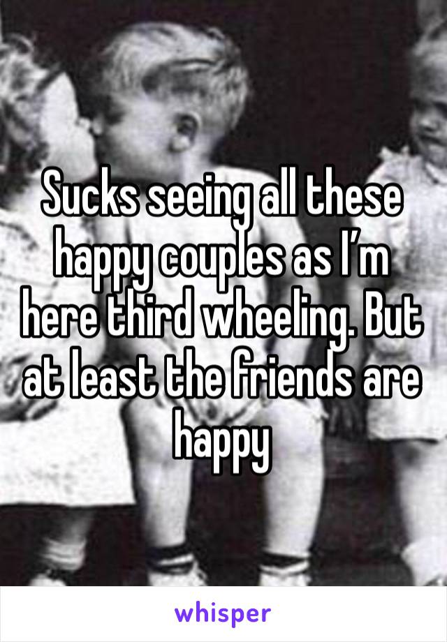 Sucks seeing all these happy couples as I’m here third wheeling. But at least the friends are happy 