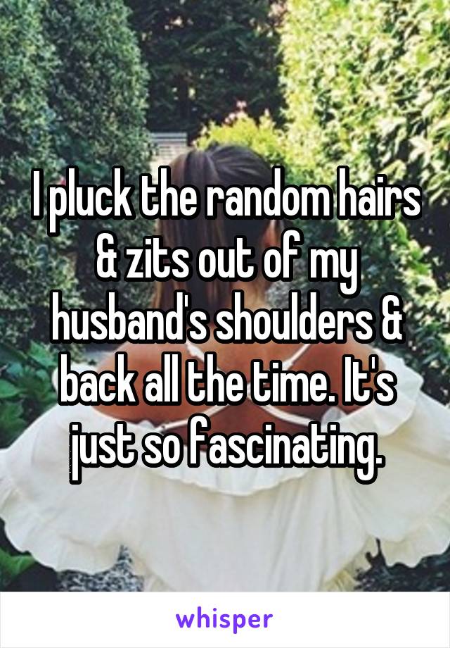 I pluck the random hairs & zits out of my husband's shoulders & back all the time. It's just so fascinating.