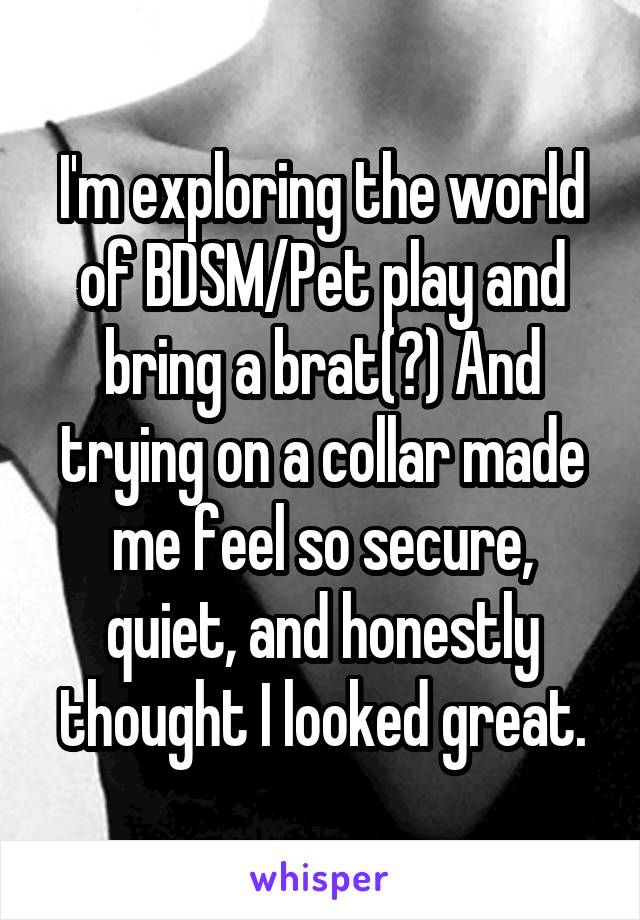 I'm exploring the world of BDSM/Pet play and bring a brat(?) And trying on a collar made me feel so secure, quiet, and honestly thought I looked great.