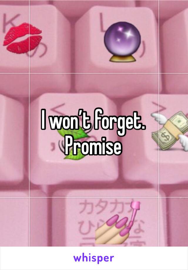 I won’t forget. 
Promise 