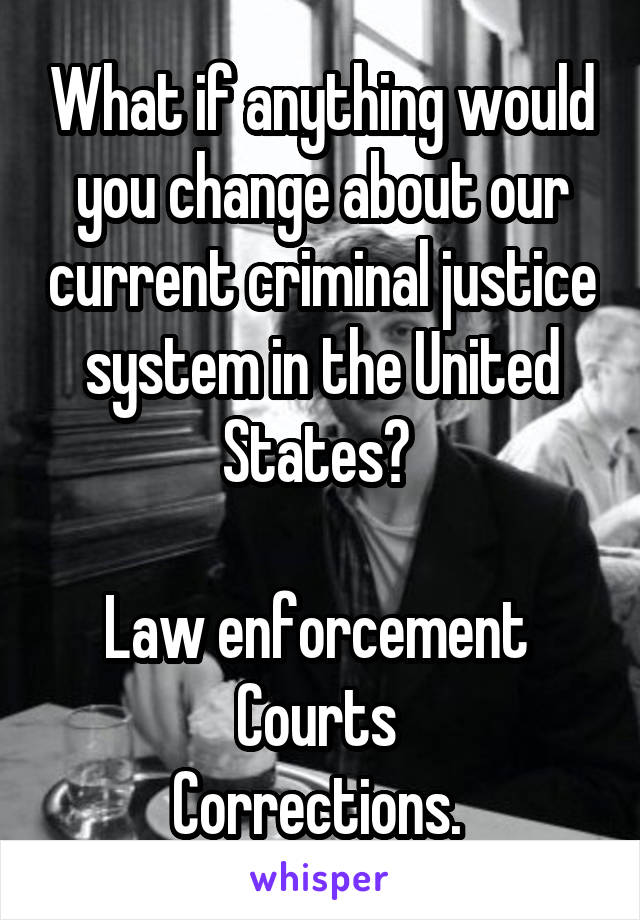 What if anything would you change about our current criminal justice system in the United States? 

Law enforcement 
Courts 
Corrections. 