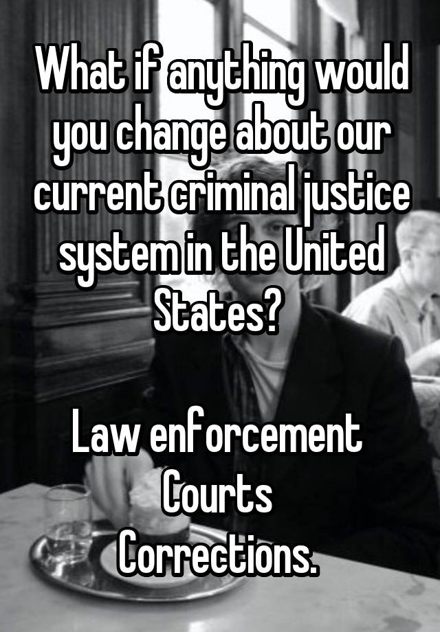 What if anything would you change about our current criminal justice system in the United States? 

Law enforcement 
Courts 
Corrections. 