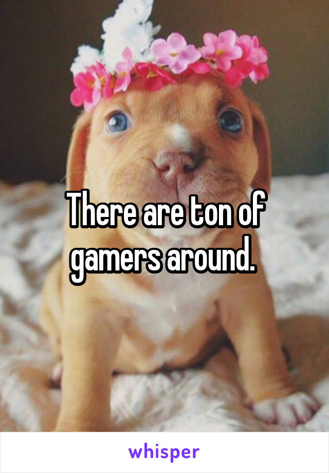 There are ton of gamers around. 