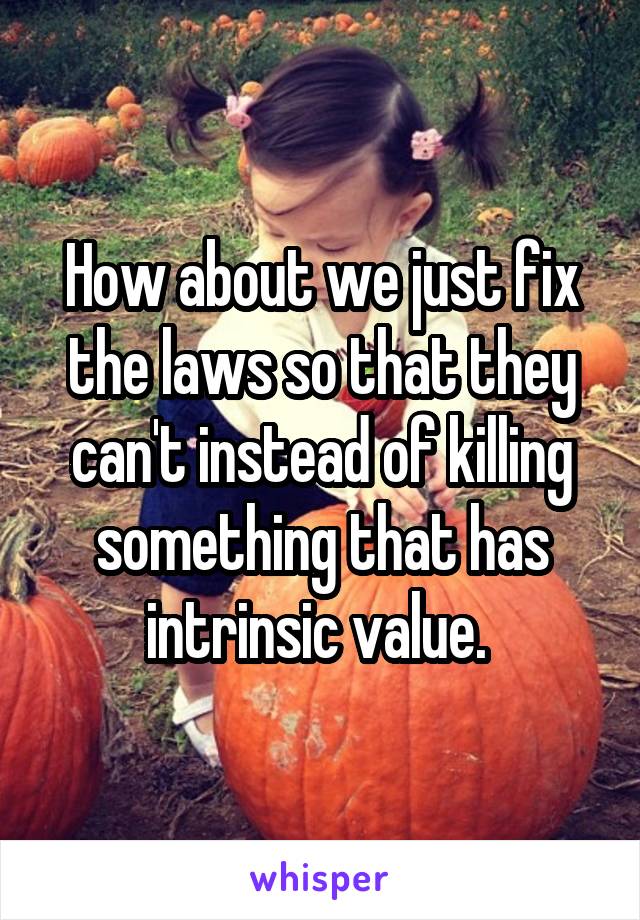 How about we just fix the laws so that they can't instead of killing something that has intrinsic value. 