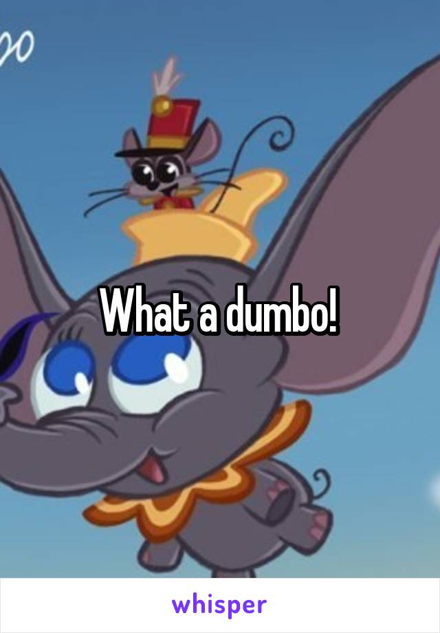 What a dumbo! 