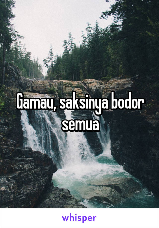 Gamau, saksinya bodor semua