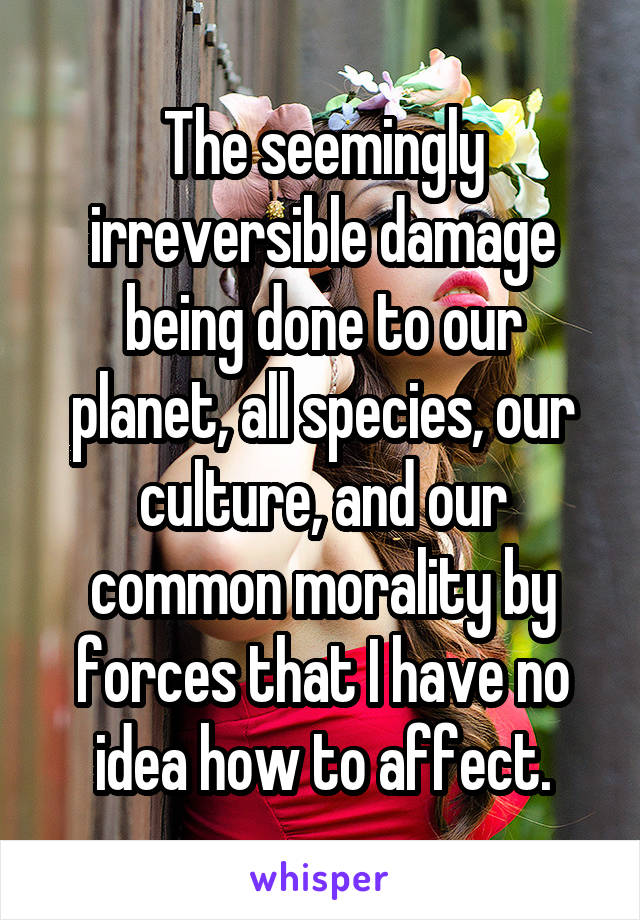 The seemingly irreversible damage being done to our planet, all species, our culture, and our common morality by forces that I have no idea how to affect.