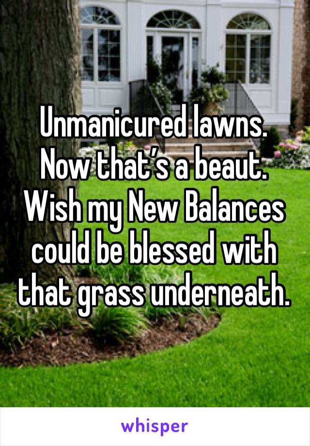 Unmanicured lawns. 
Now that’s a beaut. Wish my New Balances could be blessed with that grass underneath. 