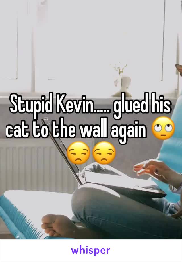 Stupid Kevin..... glued his cat to the wall again 🙄😒😒