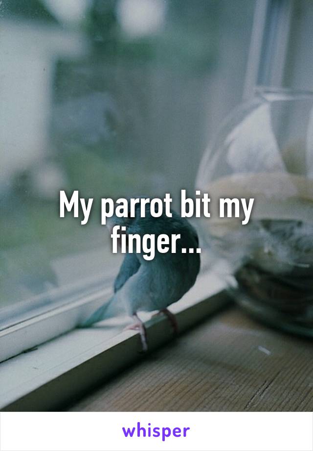 My parrot bit my finger...