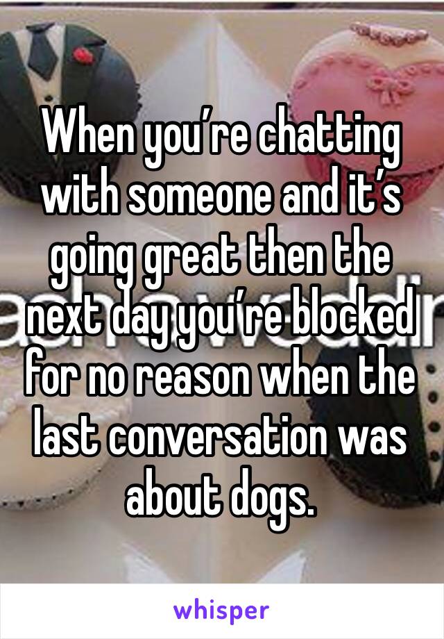 When you’re chatting with someone and it’s going great then the next day you’re blocked for no reason when the last conversation was about dogs.