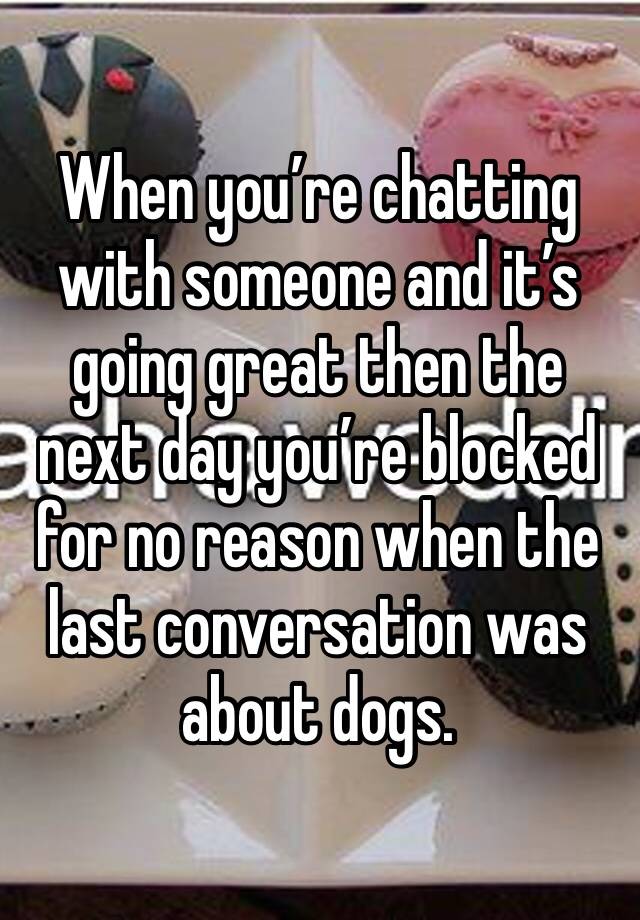 When you’re chatting with someone and it’s going great then the next day you’re blocked for no reason when the last conversation was about dogs.