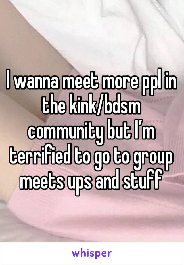 I wanna meet more ppl in the kink/bdsm community but I’m terrified to go to group meets ups and stuff