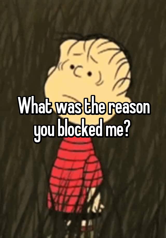 What was the reason you blocked me? 