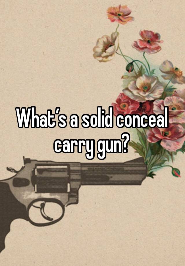 What’s a solid conceal carry gun?