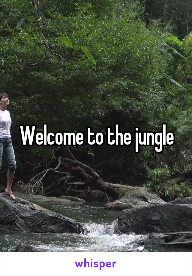 Welcome to the jungle