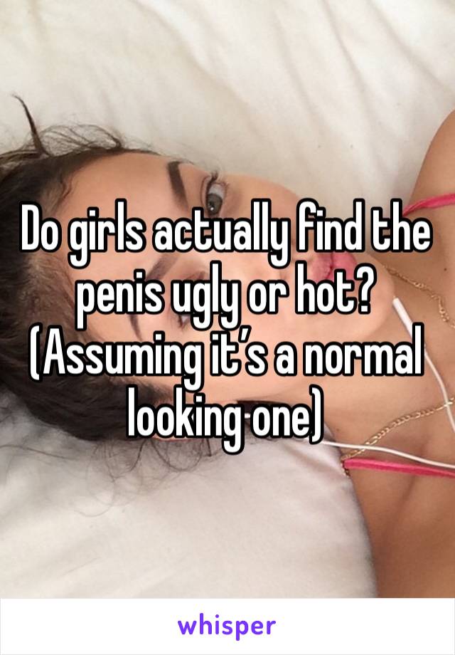 Do girls actually find the penis ugly or hot? (Assuming it’s a normal looking one)