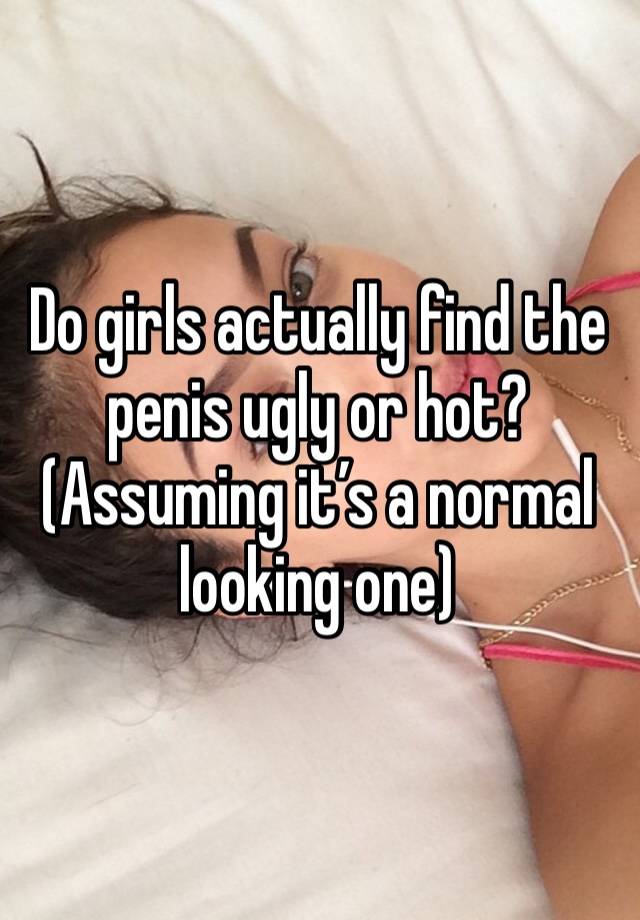 Do girls actually find the penis ugly or hot? (Assuming it’s a normal looking one)