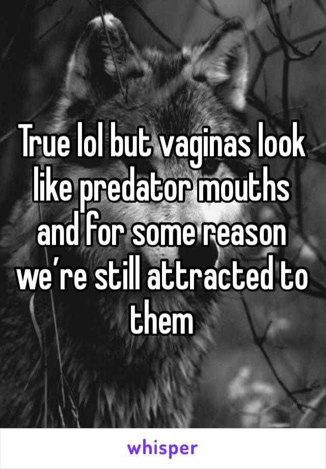 True lol but vaginas look like predator mouths and for some reason we’re still attracted to them