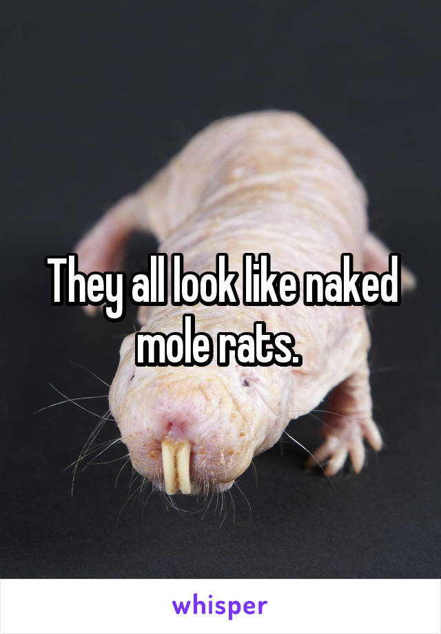 They all look like naked mole rats. 