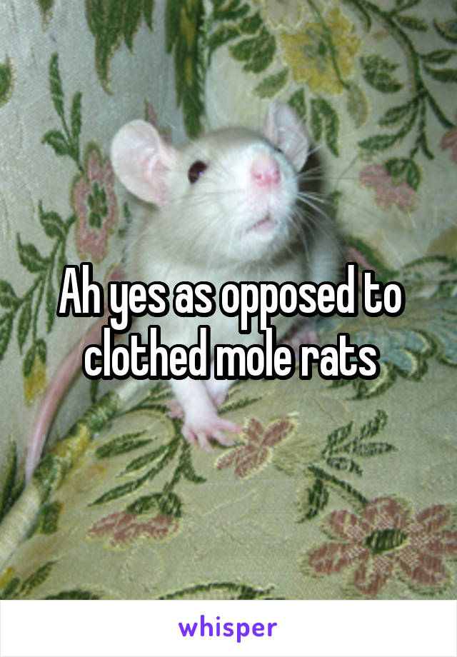 Ah yes as opposed to clothed mole rats