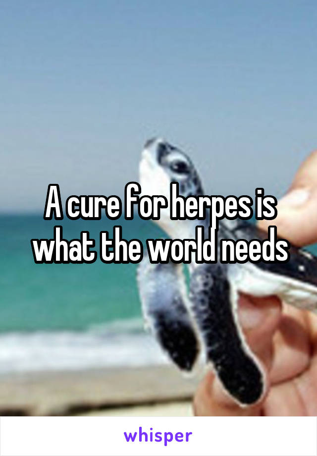 A cure for herpes is what the world needs