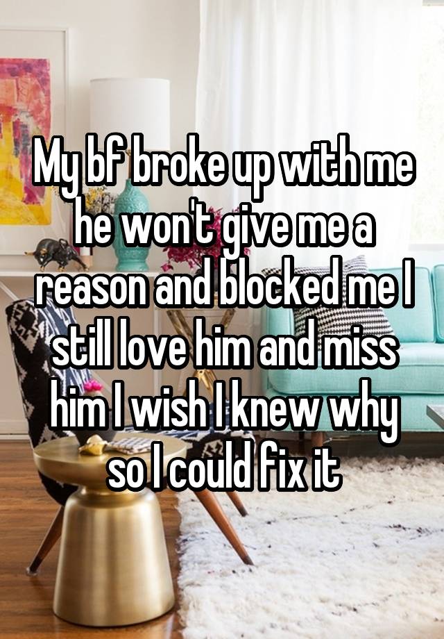 My bf broke up with me he won't give me a reason and blocked me I still love him and miss him I wish I knew why so I could fix it