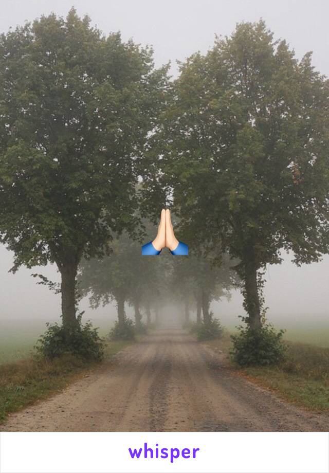 🙏🏻