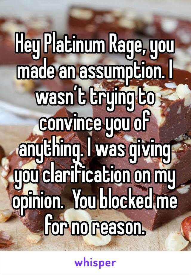 Hey Platinum Rage, you made an assumption. I wasn’t trying to convince you of anything. I was giving you clarification on my opinion.  You blocked me for no reason. 